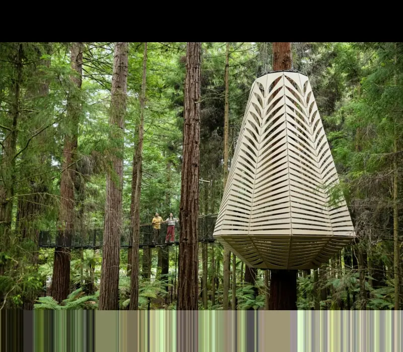 Day 5 of Central North Island Explorer: Daytime Treewalk & Glowworm Combo with Redwoods
