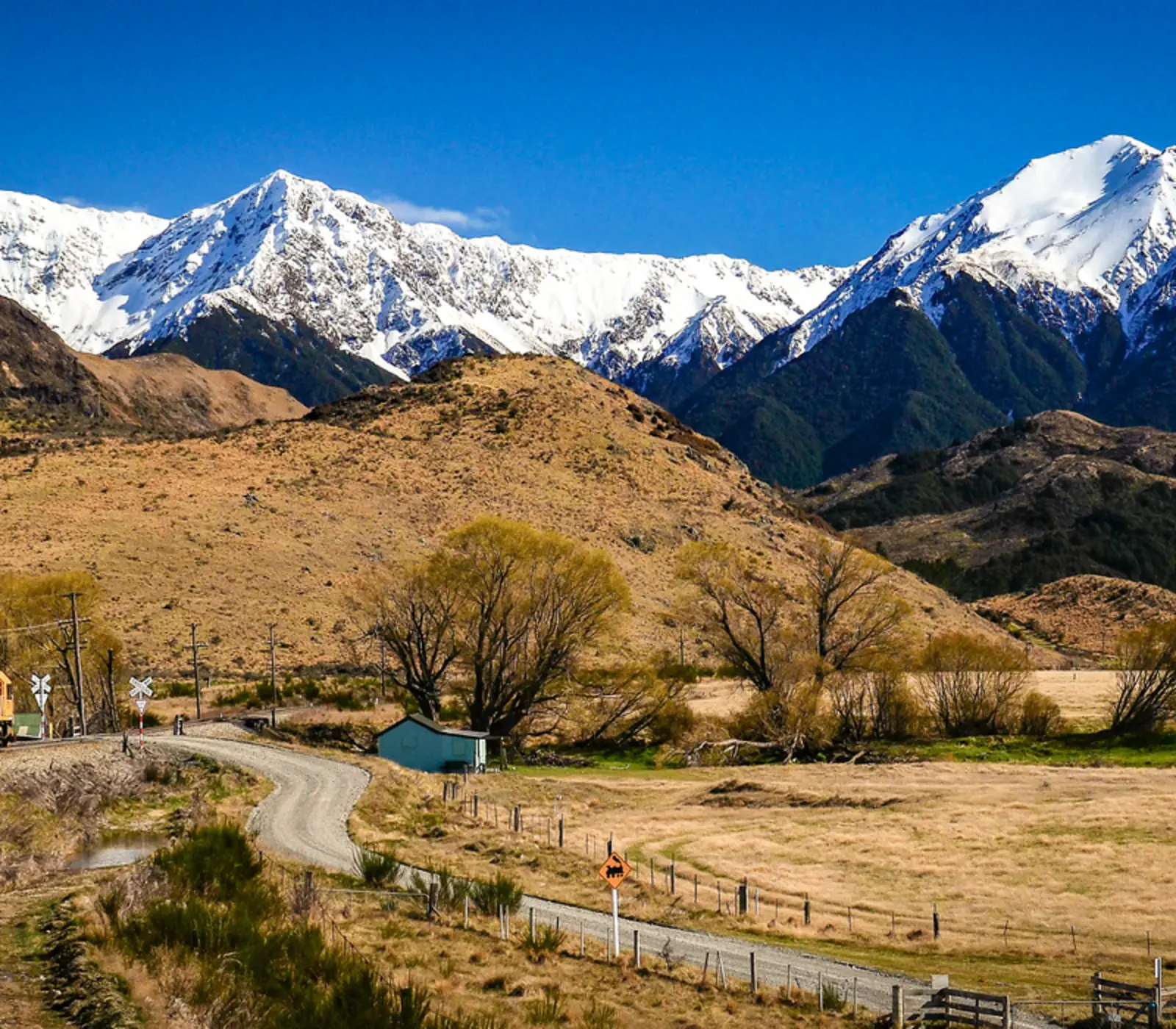 Day 1: Glacier Valley Shuttle (photo 4), South Island Gems Highlights
