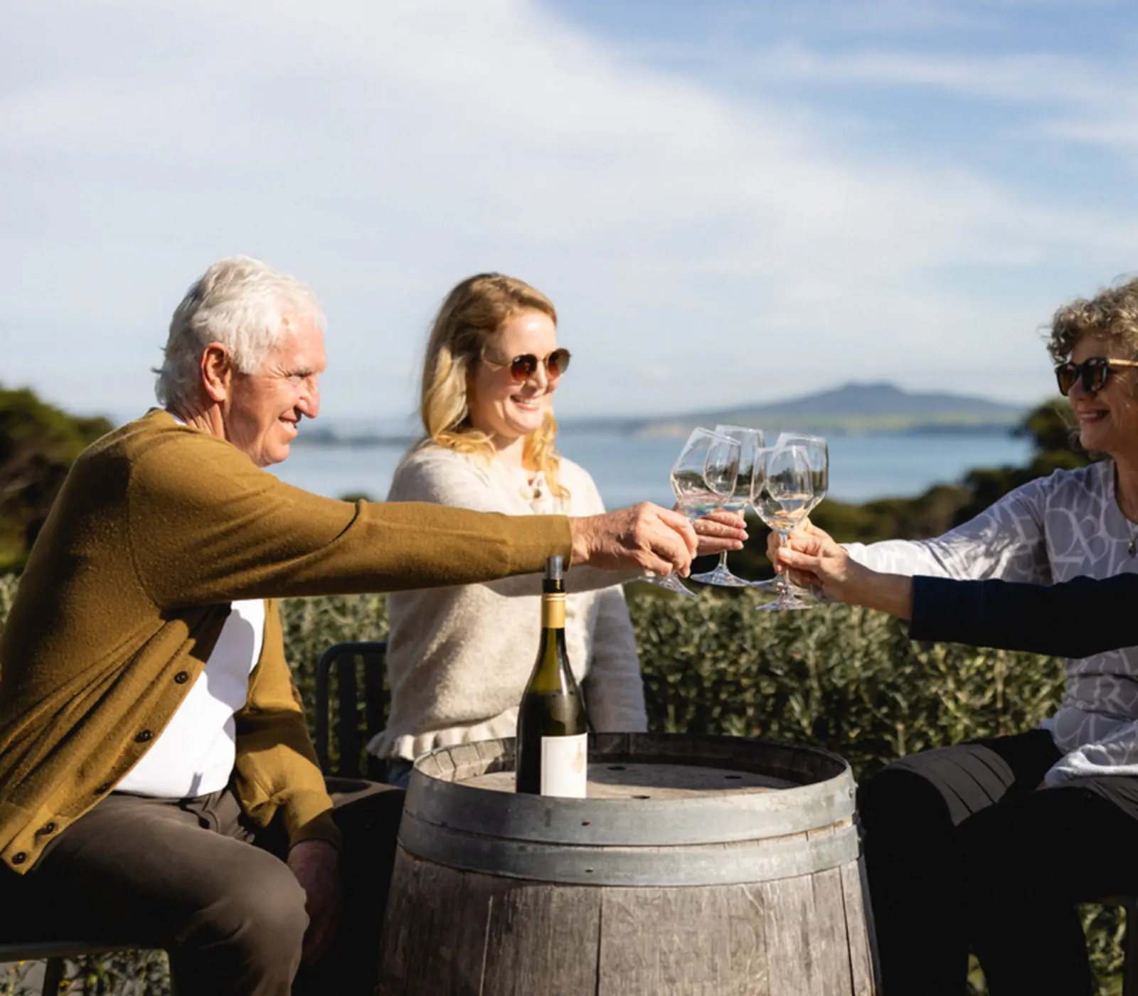 City Lights to Alpine Heights Tour: 16 day New Zealand self drive tour