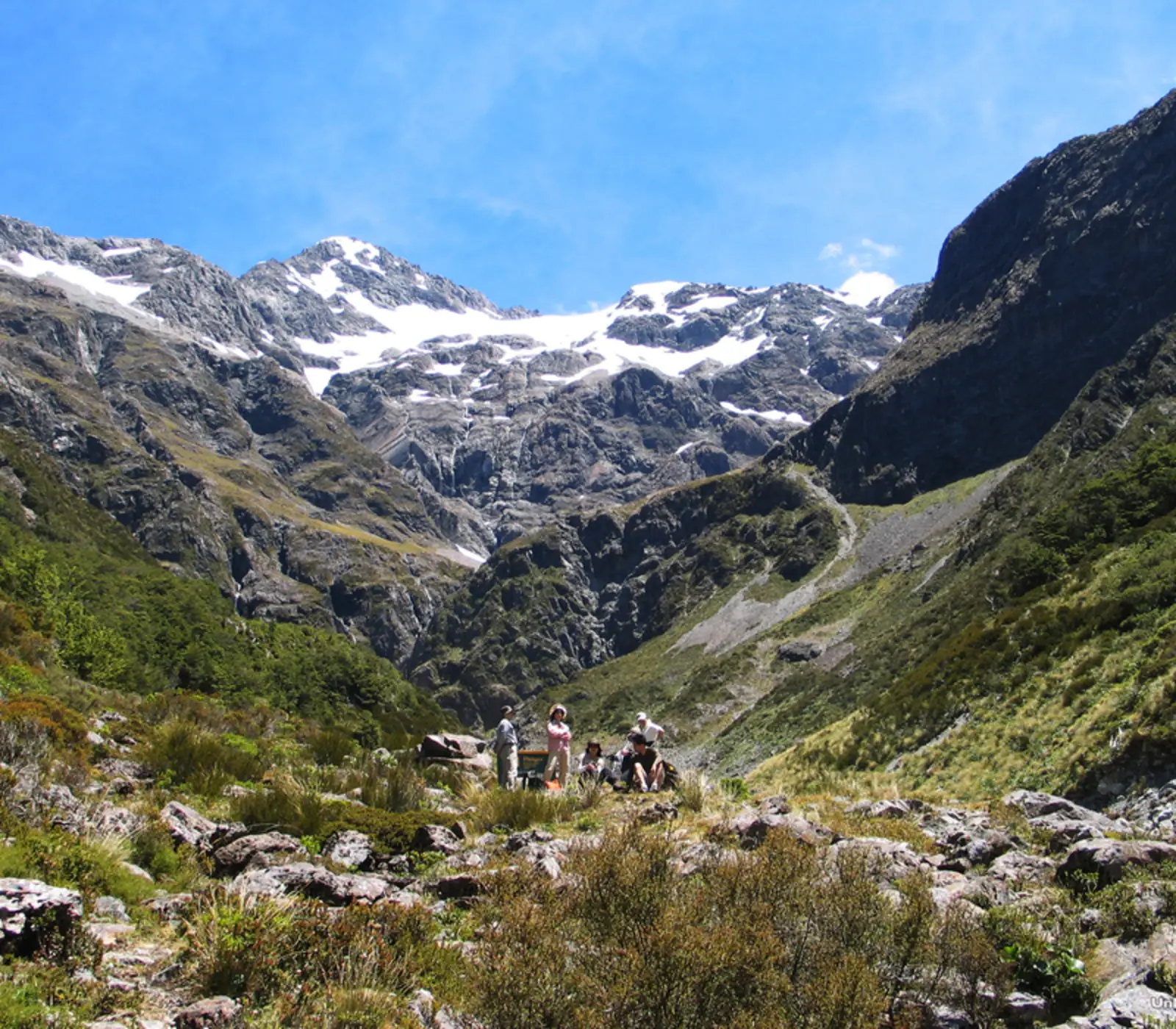 Day 8 of Essential Southern Extravaganza: Walking tracks in Arthurs Pass National Park
