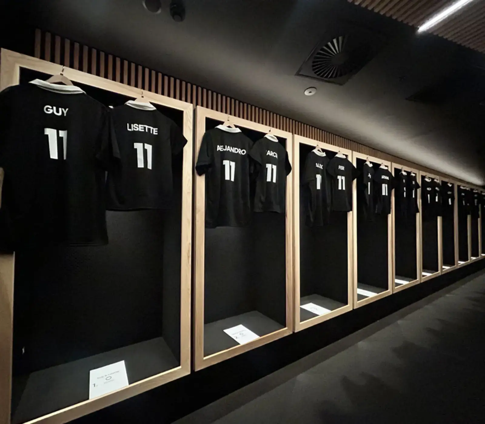 Day 1: All Blacks Experience (photo 4), New Zealand Bucket List Road Trip