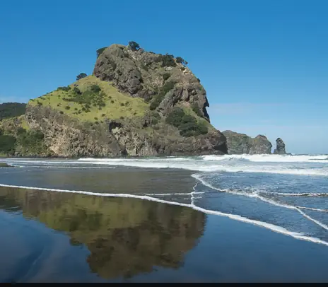 Day 2: Best of Both Worlds Tour with Bush and Beach, Coastal & Cultural Journey