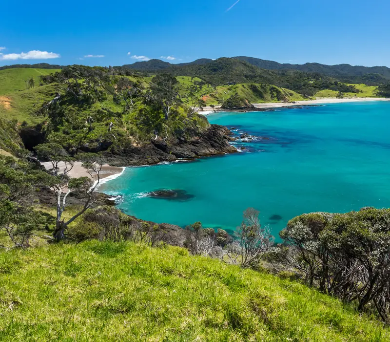 Day 2: Bay of Islands (photo 2), North Island Express