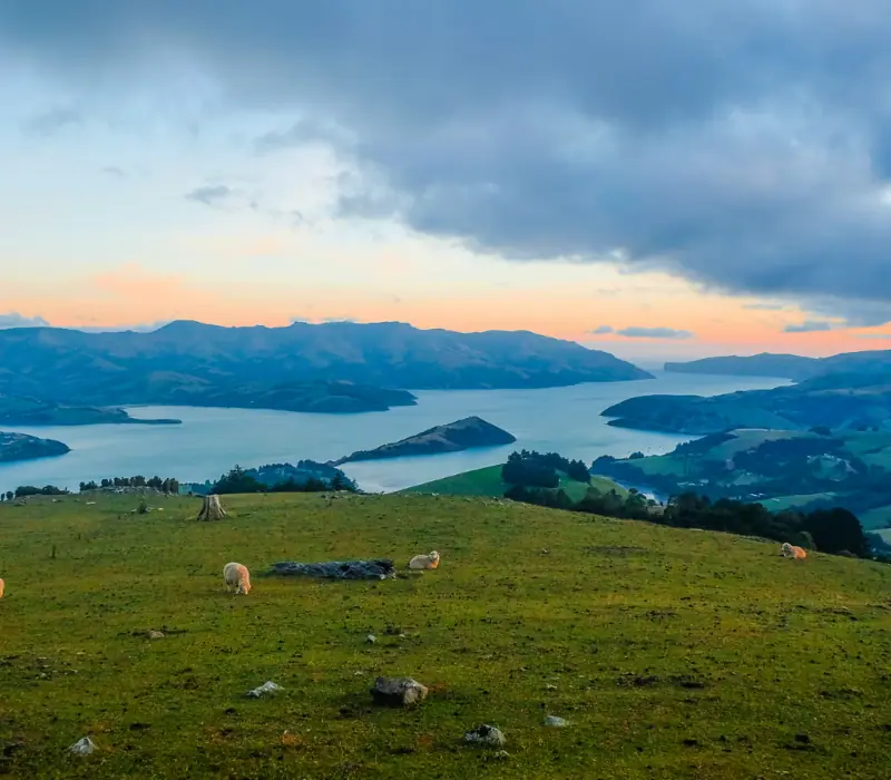Day 2: Christchurch City to Akaroa Half Day Trip, Coastal Trails & Rails