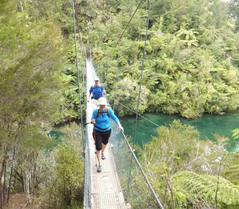Day 9 of Stories of Aotearoa: Abel Tasman Water and Walk Tour with Wine, Art & Wilderness - Lunch Included