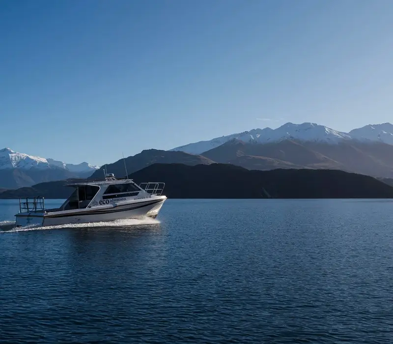 Day 7 of Routeburn Guided Walk & West Coast Wonders: Lake Cruise and Island Nature Walk with Eco Wanaka