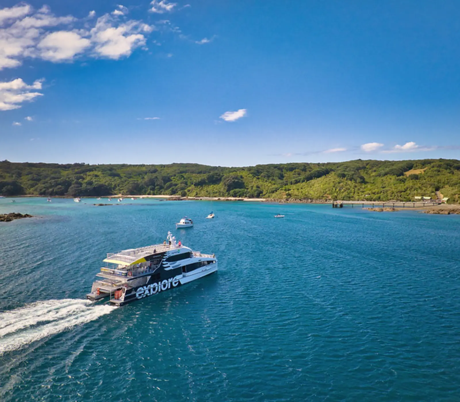 Day 2 of The Ultimate Birds of New Zealand: Return Ferry to Tiritiri Matangi Island and Guided Walk