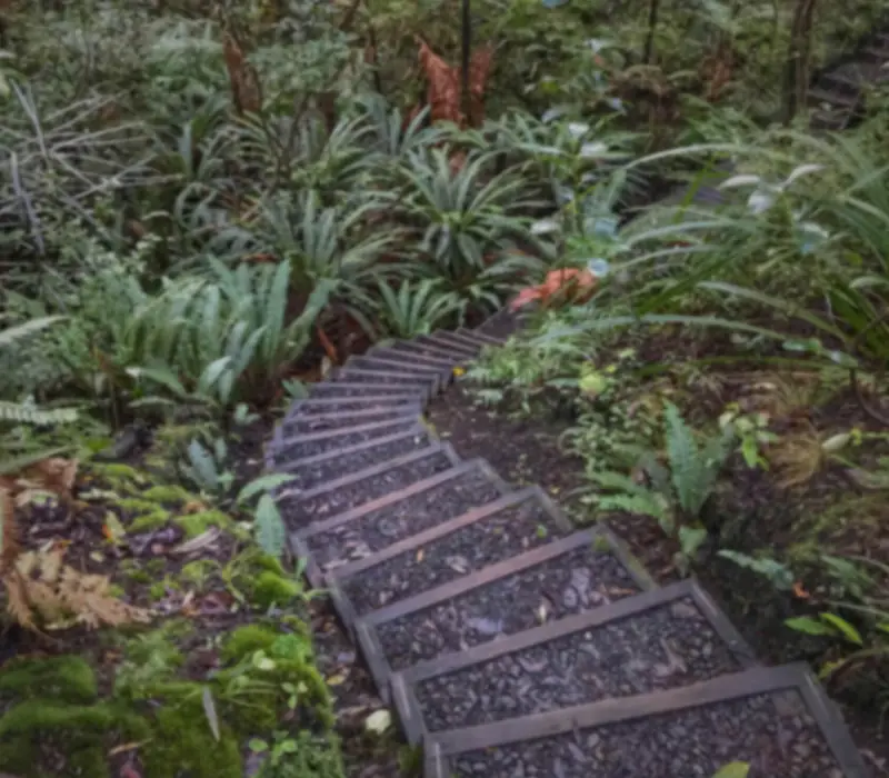 Day 24 of The Ultimate Birds of New Zealand: Ulva Island Half Day guided Walk with Ulva’s Guided Walks