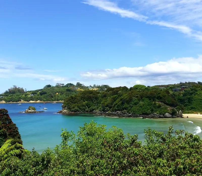 Day 8 of Southern South Island Highlights With Stewart: Stewart Island - Rakiura National Park
