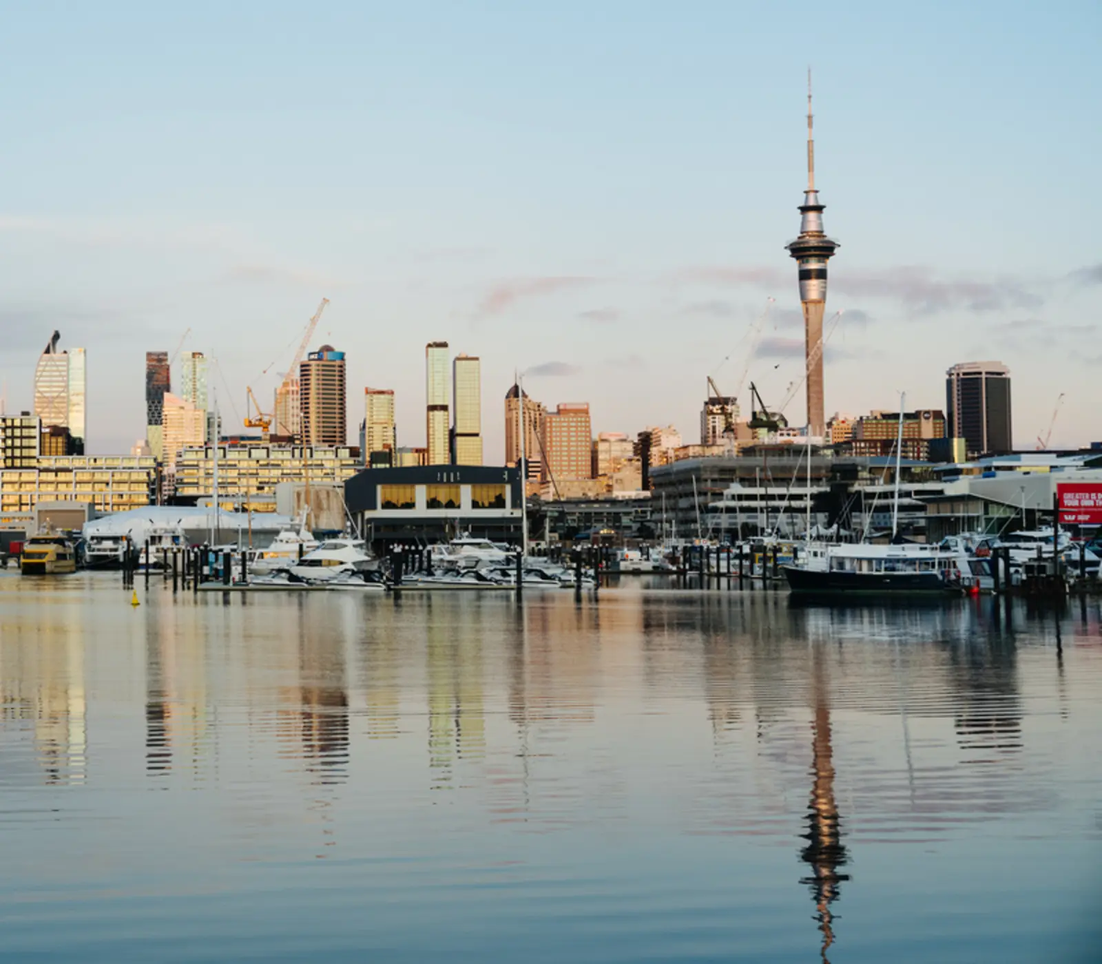 Day 1: Auckland, The Ultimate Birds of New Zealand
