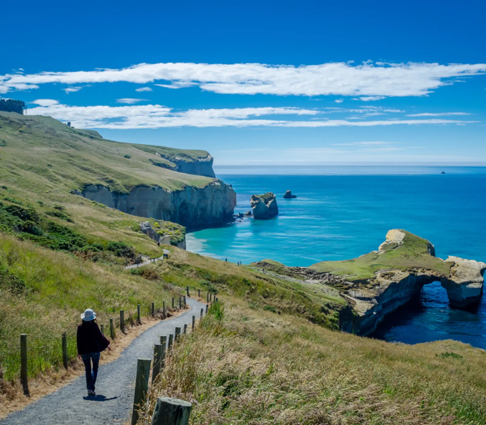 The Southern Circle Day Walks: 14 day New Zealand self drive tour