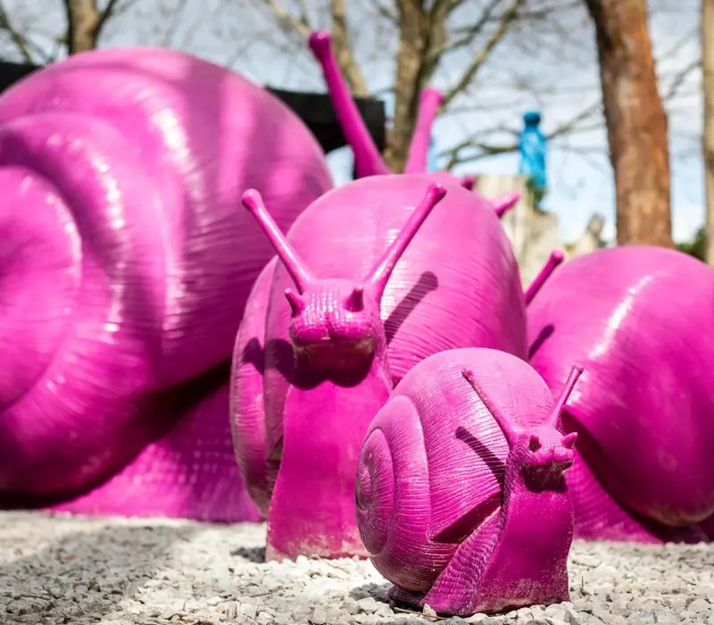 Day 25 of Extended New Zealand: Sculptureum - Gardens and Galleries Experience
