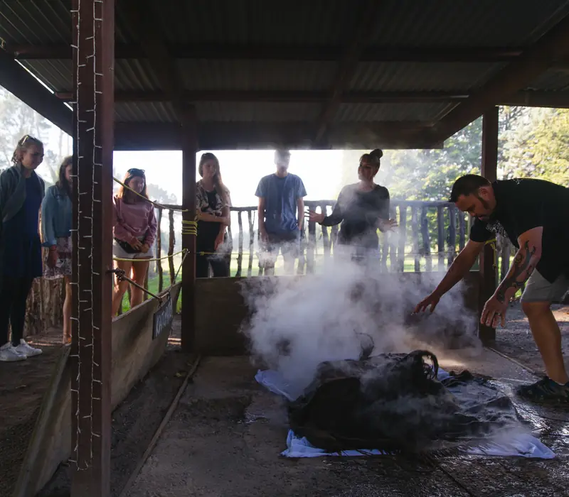 Day 10 of North Island Spectacular: Kohutapu Lodge & Whirinaki Forest Footsteps
