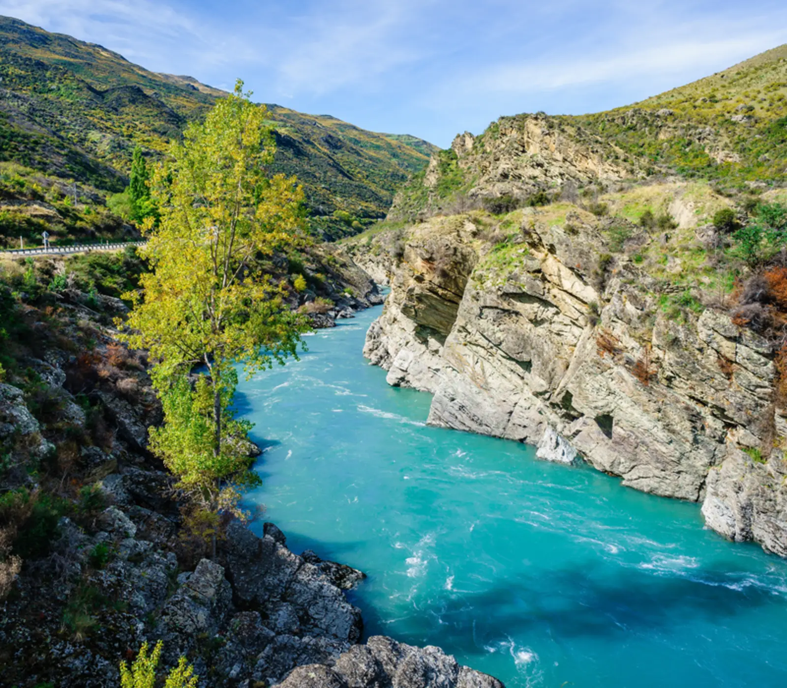 Train, Fiord and Glacier Tour: 6 day New Zealand rail journey tour