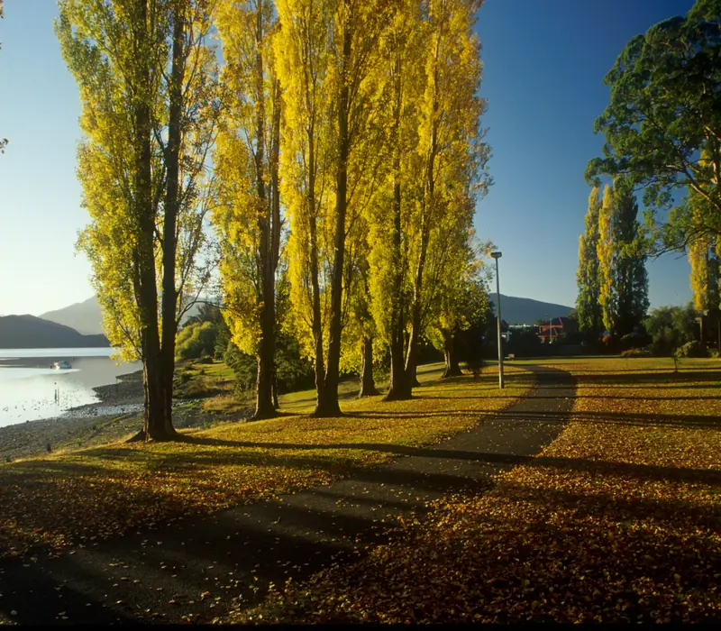 Essence of New Zealand - Small Group Tour 26/27 scenery 4