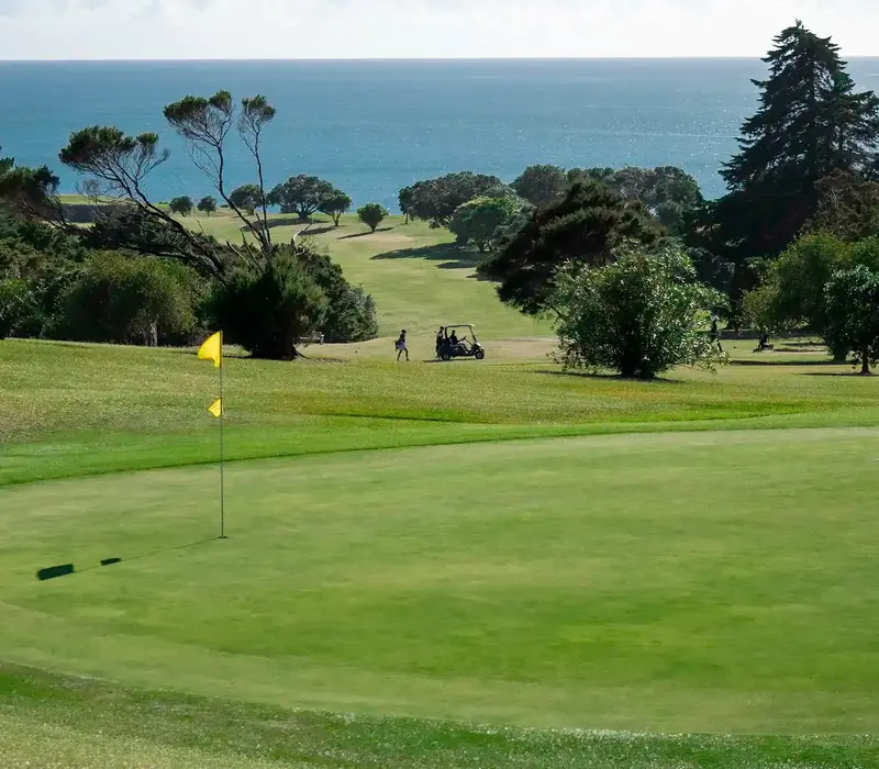 Day 5 of Essential Golf New Zealand: Waitangi Golf Club - suggested activity