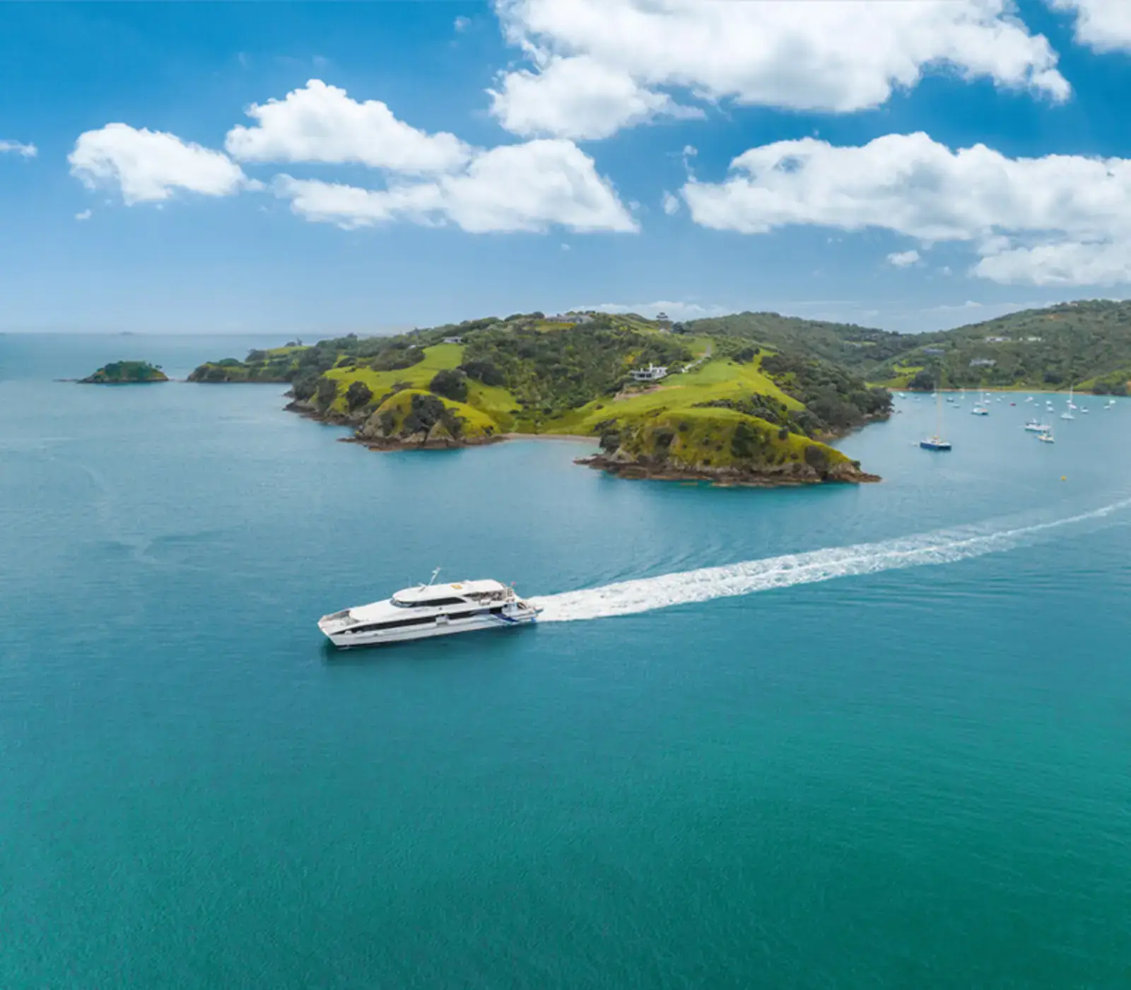 Day 2: Fullers Ferry Waiheke Island to Auckland (photo 2), Gourmet Trails & Coastal Sails