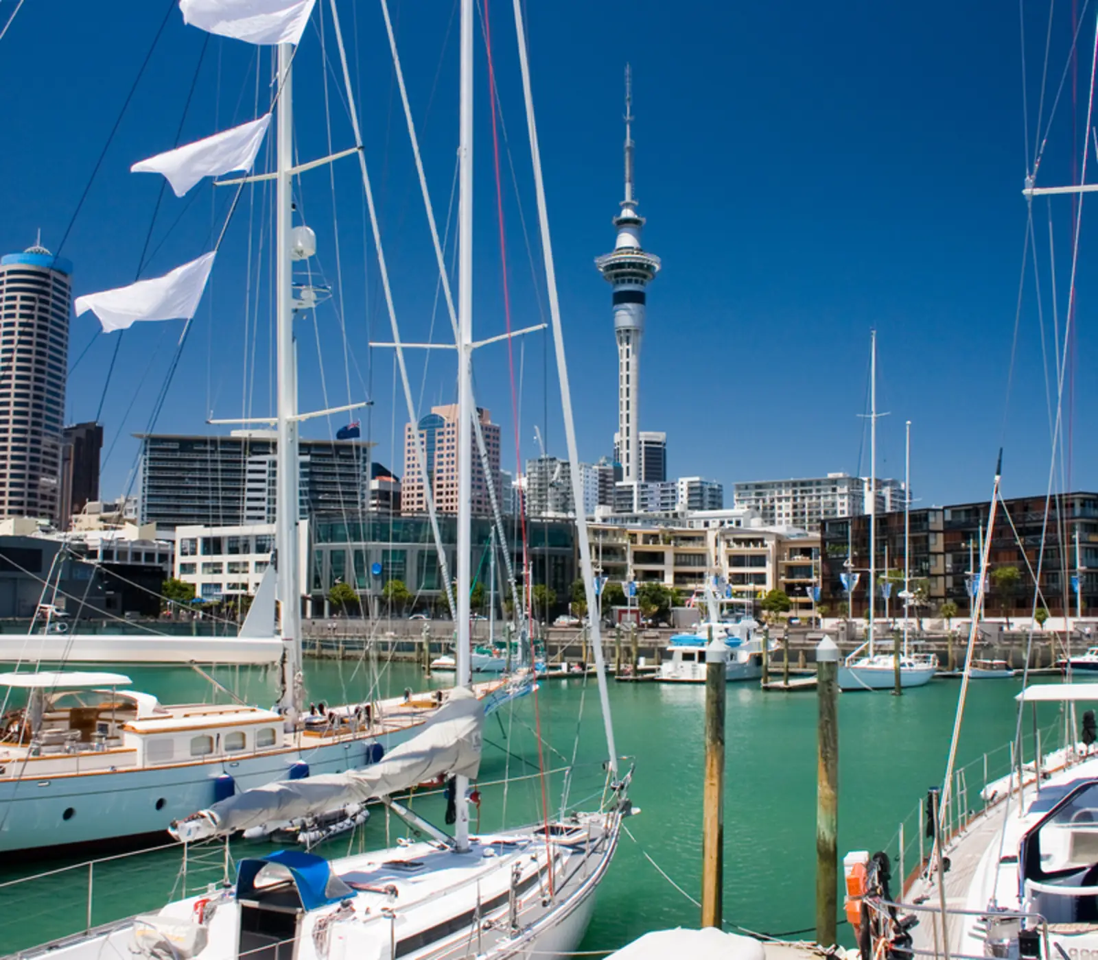 Day 8 of On Island Time: Hamilton to Auckland City