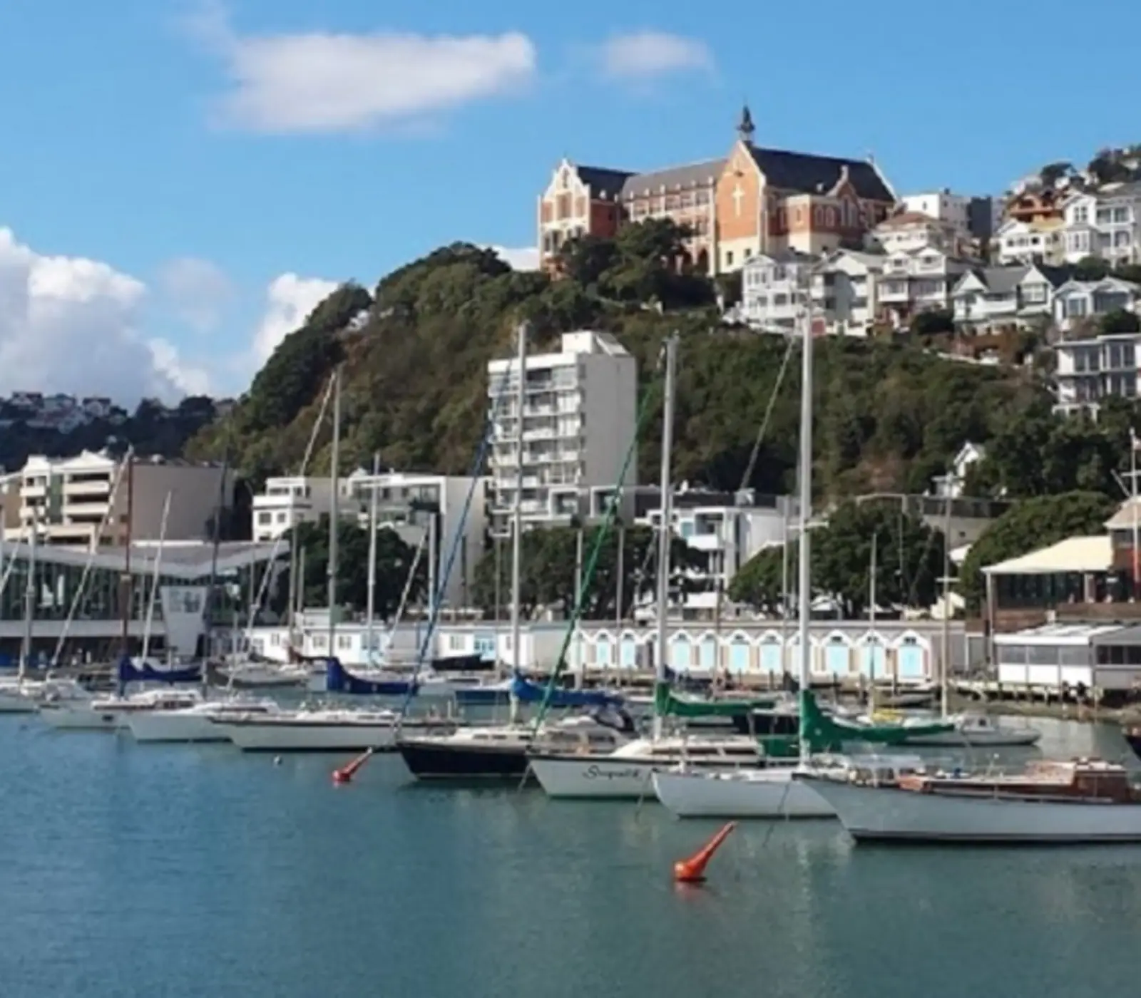 New Zealand Explorer: 10 day New Zealand guided coach tour