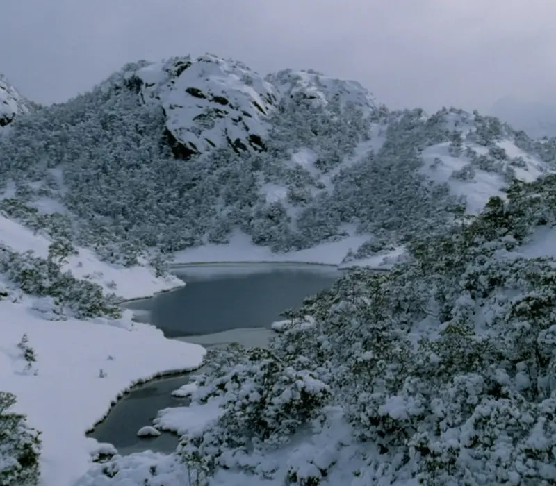 Day 2: Ata Whenua - Shadowland Film at Fiordland Cinema (photo 3), Fiordland Escape