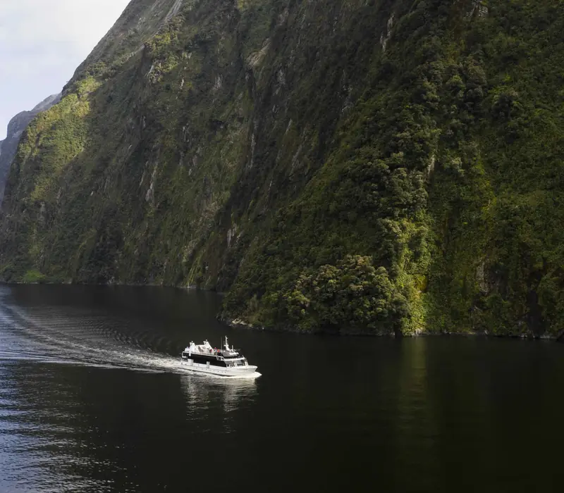 Day 5 of Fiords and Peaks: Milford Sound Flight and Cruise with Return Flight
