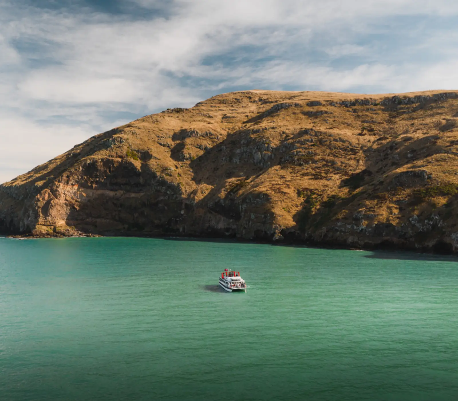 Day 4 of The Canterbury Charm: Akaroa Harbour Nature Cruise with Black Cat