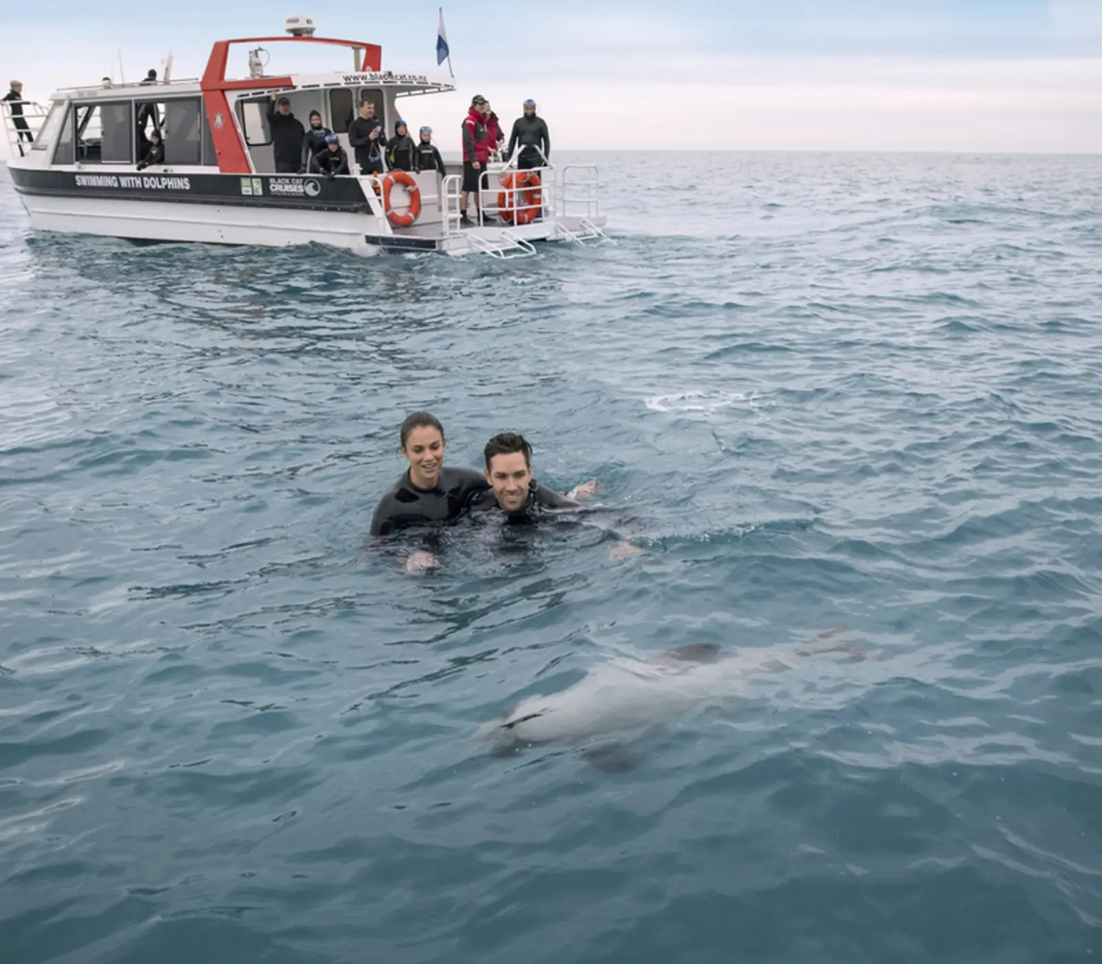 Day 2: Akaroa Harbour Nature Cruise with Black Cat (photo 4), Fiords, Glaciers and Mountains Family Adventure