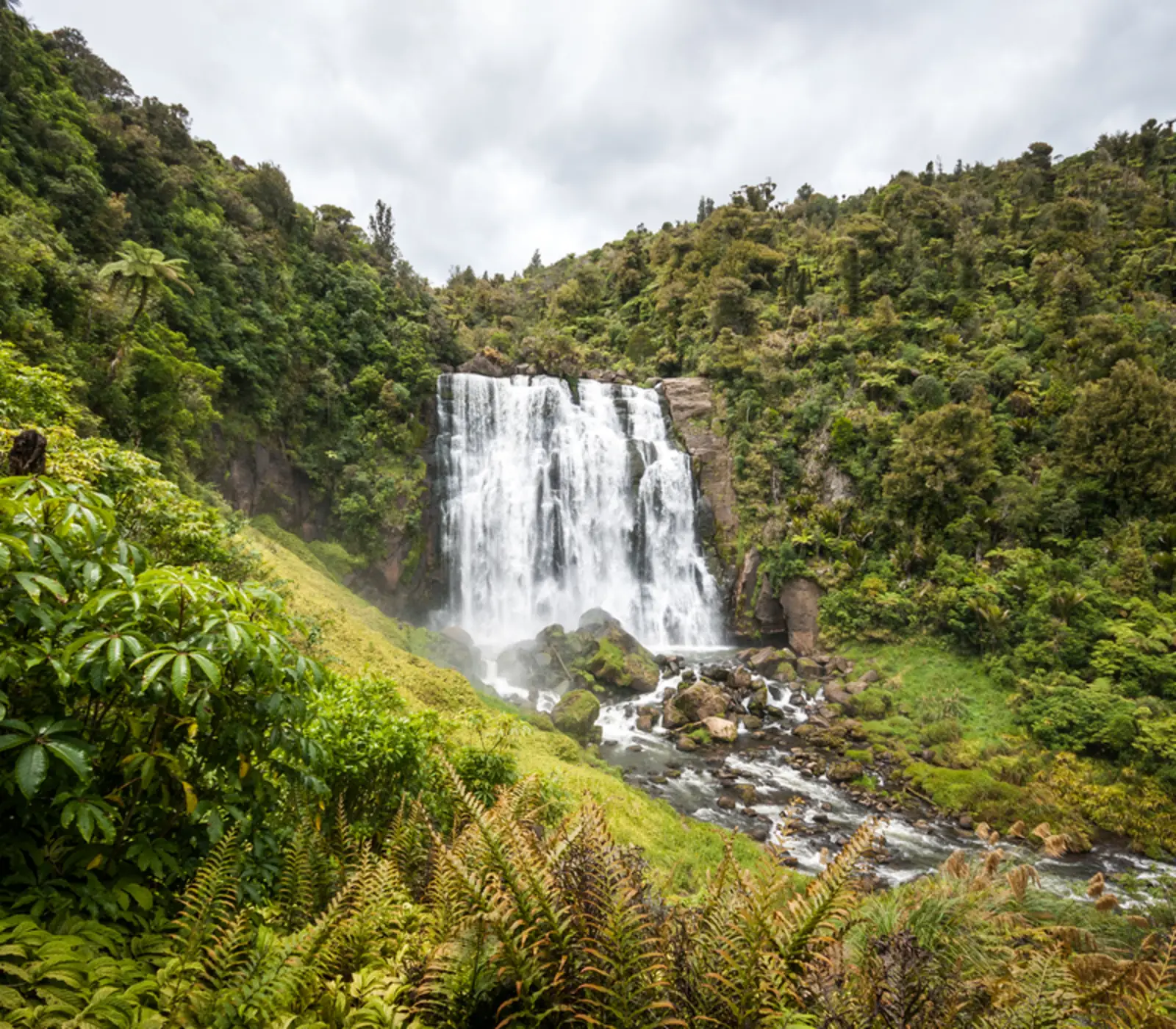 Day 2: Matamata to Waitomo, From the Shire to the Fires of Mordor