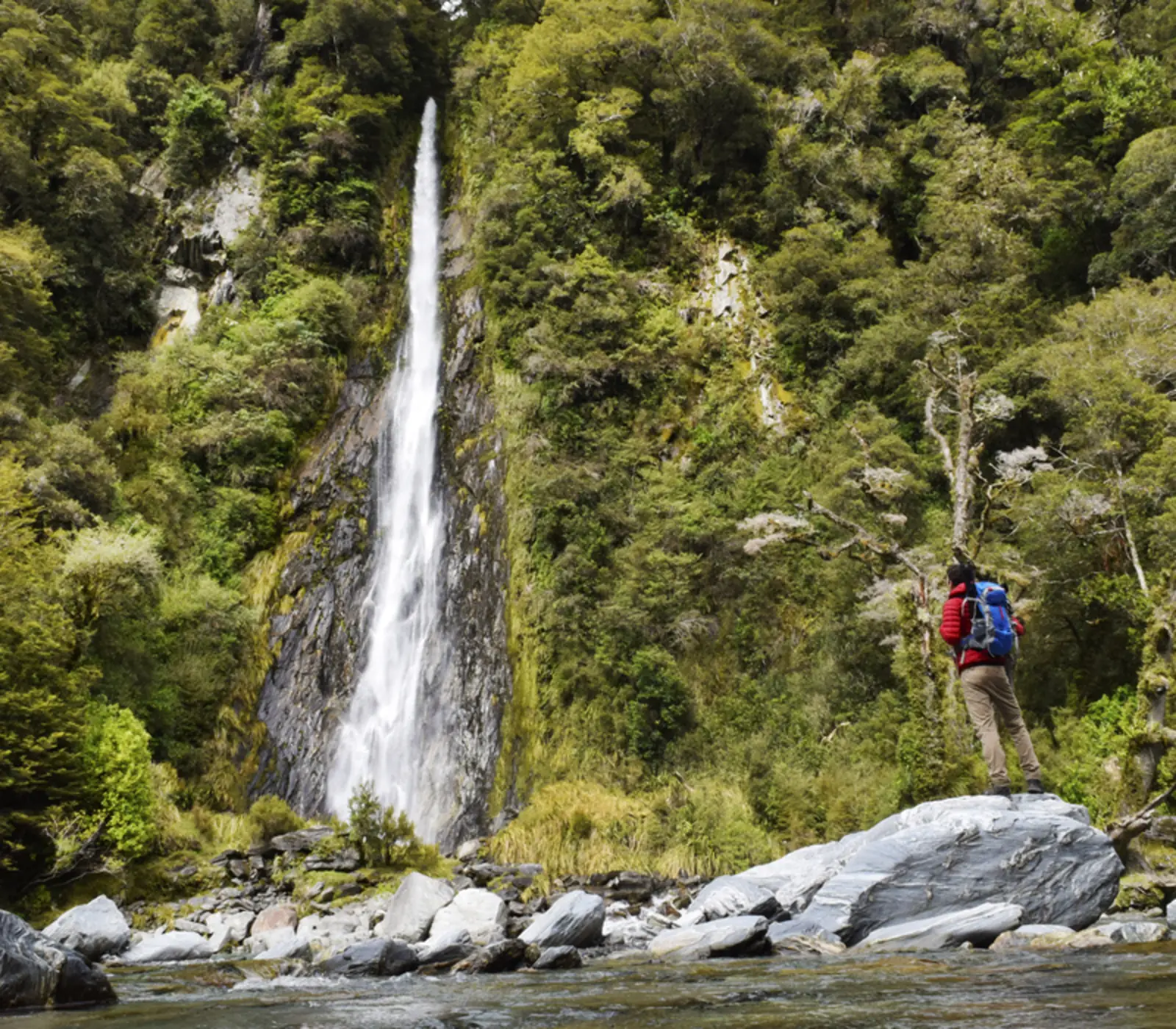Day 5 of Southern Highlights: Queenstown to Franz Josef via Wānaka Small Group Tour with Cheeky Kiwi - Lunch Included