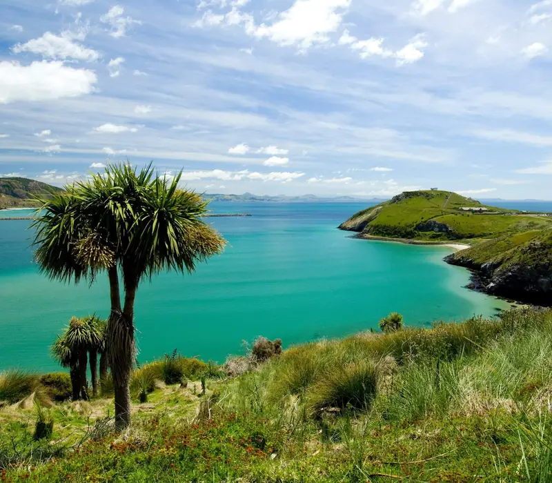 Day 6 of Glaciers, Mountains & Lakes: Te Anau to Dunedin with Iconic