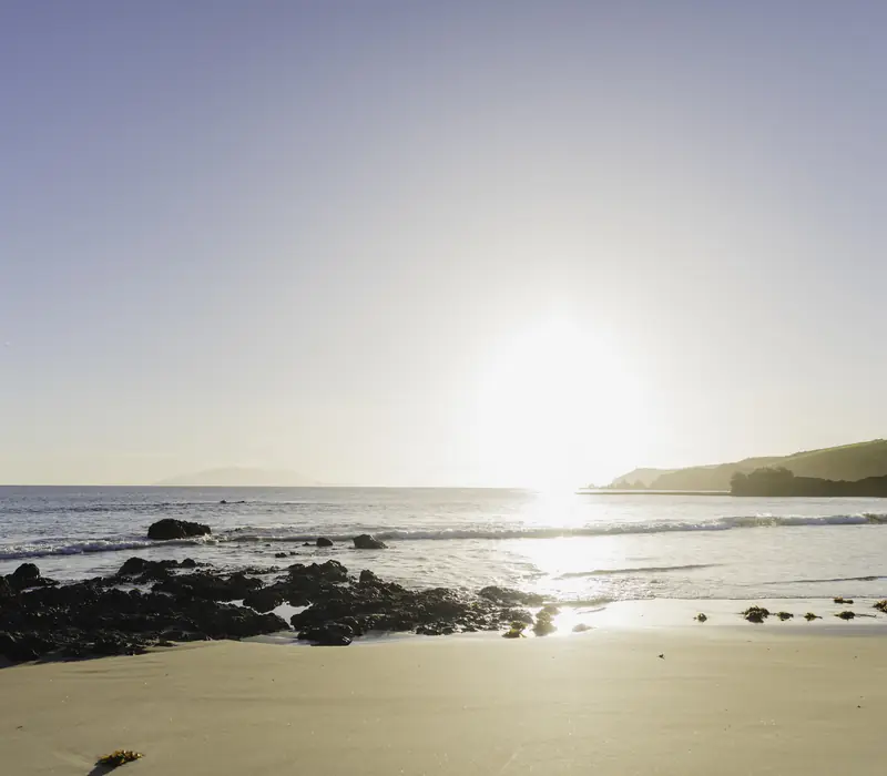 Day 4 of Northern Highlights Escape: Paihia, Bay of Islands to Snells Beach via Waipoua