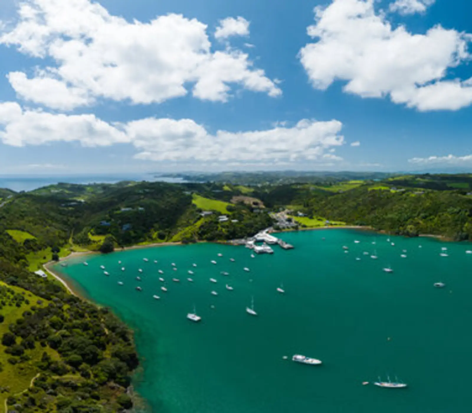 Aotearoa on a Plate: Auckland to Wellington: 12 day New Zealand self drive tour