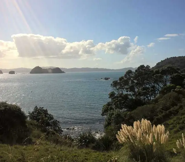 Day 4 of Great Northern Land: Wilderness Adventure Walk with Kiwi Dundee - Lunch Included