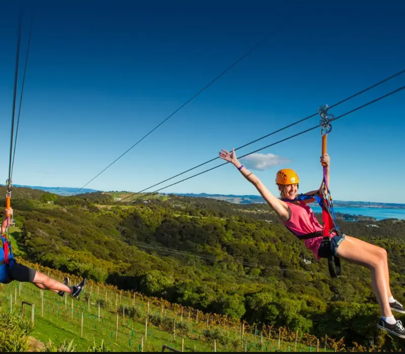 Day 10 of New Zealand Bucket List Road Trip: Zipline & Native Forest Tour with EcoZip Kaikoura