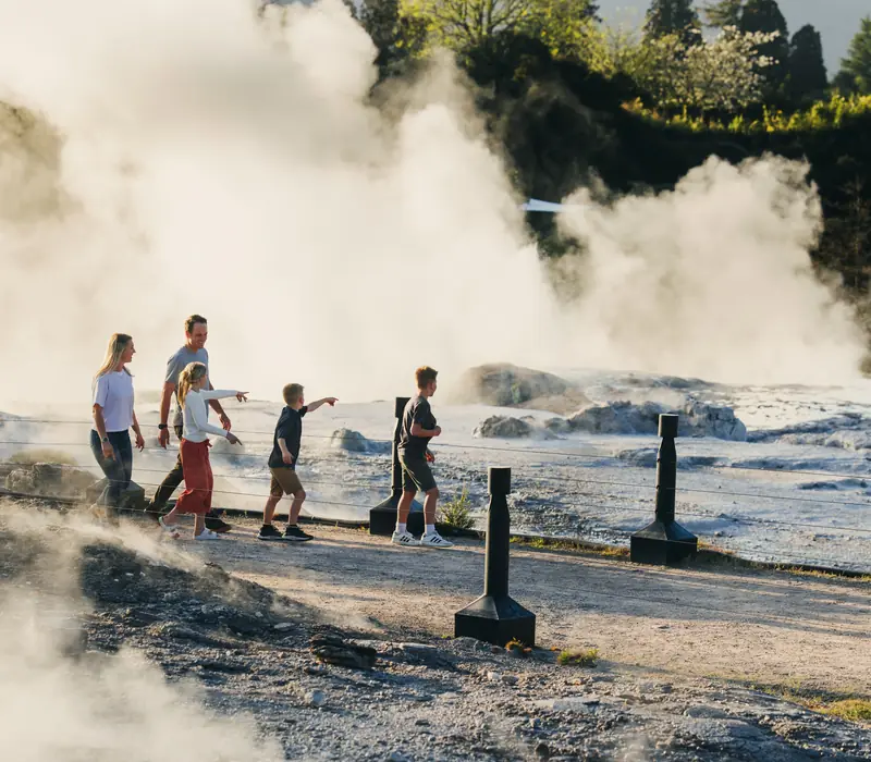 Day 3 of Harbours, Heights and City Lights: Te Ra Daytime Experience at Te Puia