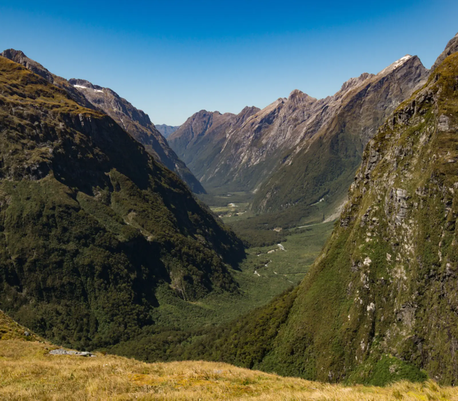 Hike Milford Track & Explore Queenstown: 8 day New Zealand guided coach tour