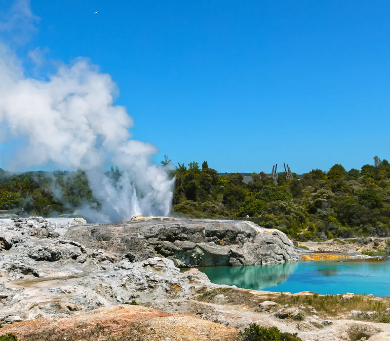 Hobbiton, Rotorua and Geothermal Gateway: 3 day New Zealand guided coach tour