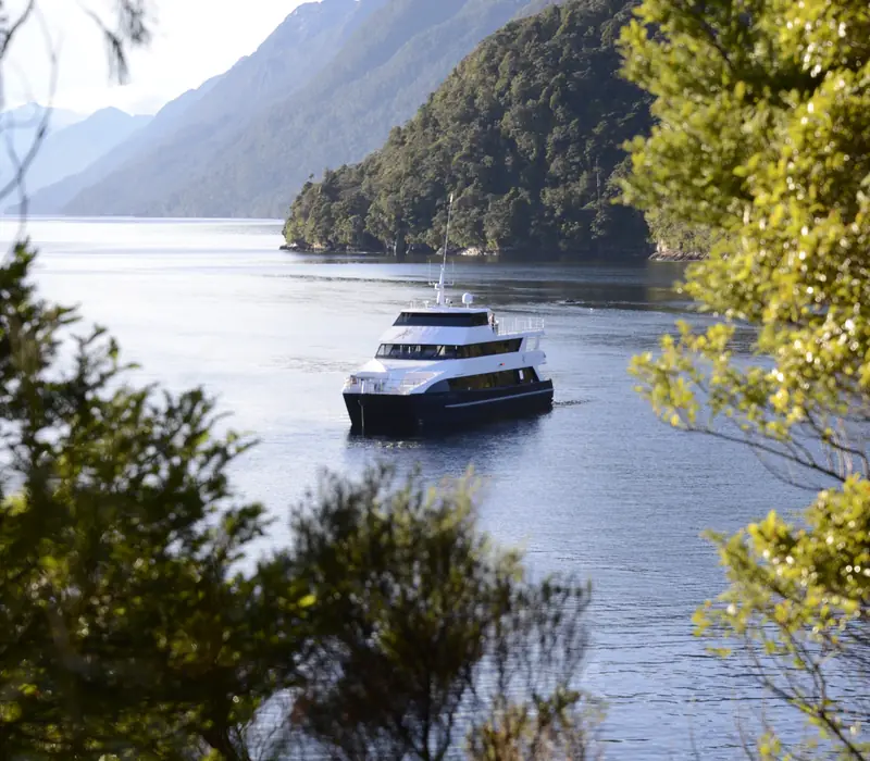 Fiordland Jewel