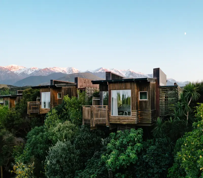 Hapuku Lodge & Tree Houses