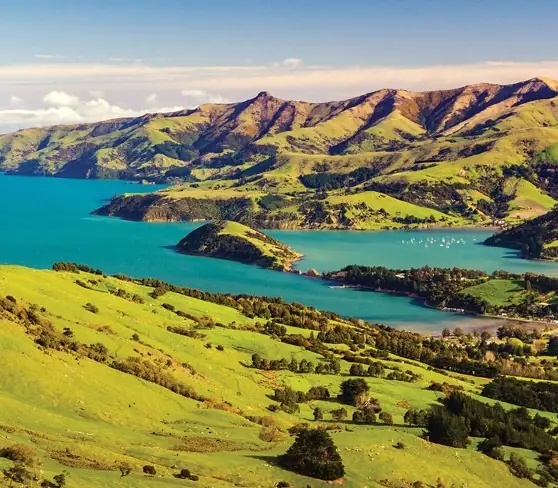 Day 15 of New Zealand Magic 26/27: If there’s a travel destination that inspires wanderlust, the Bay of Islands is it