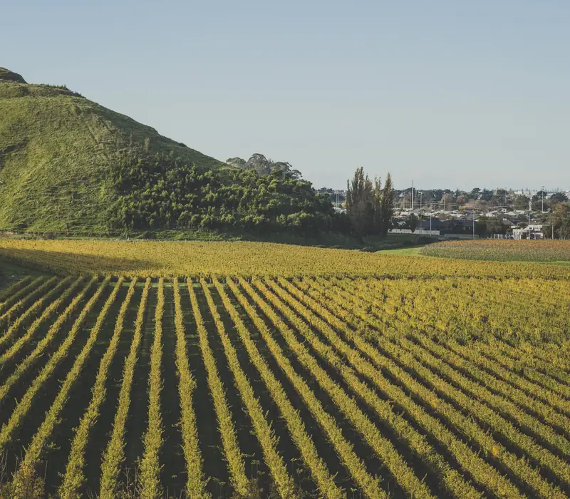 Day 6 of Pohutukawa: Rotorua to Napier