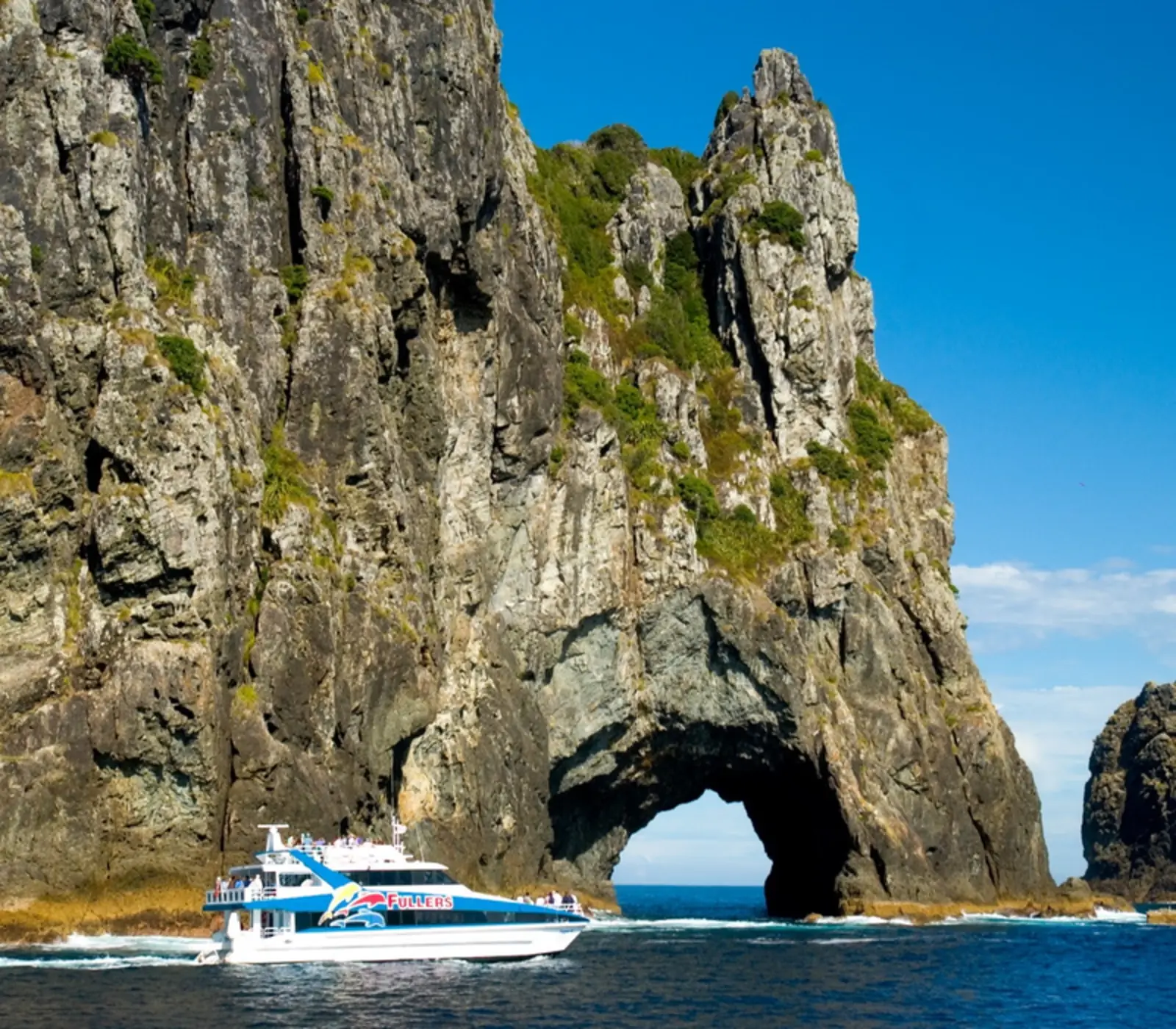 Day 3: Bay of Islands, Koromiko