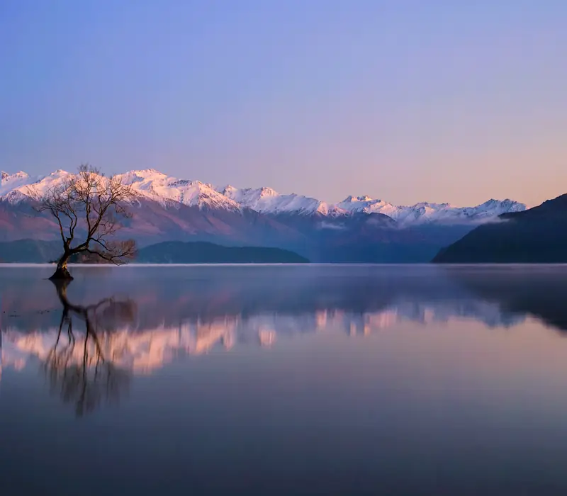 Day 7 of Mount Cook Lily: Fox Glacier to Wanaka