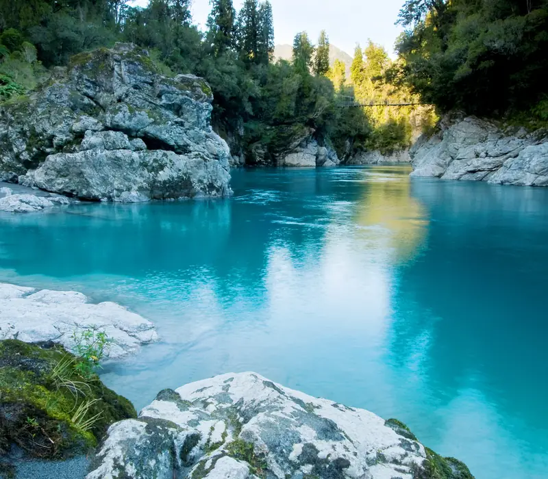 Day 6 of Mount Cook Lily: Christchurch to Fox Glacier