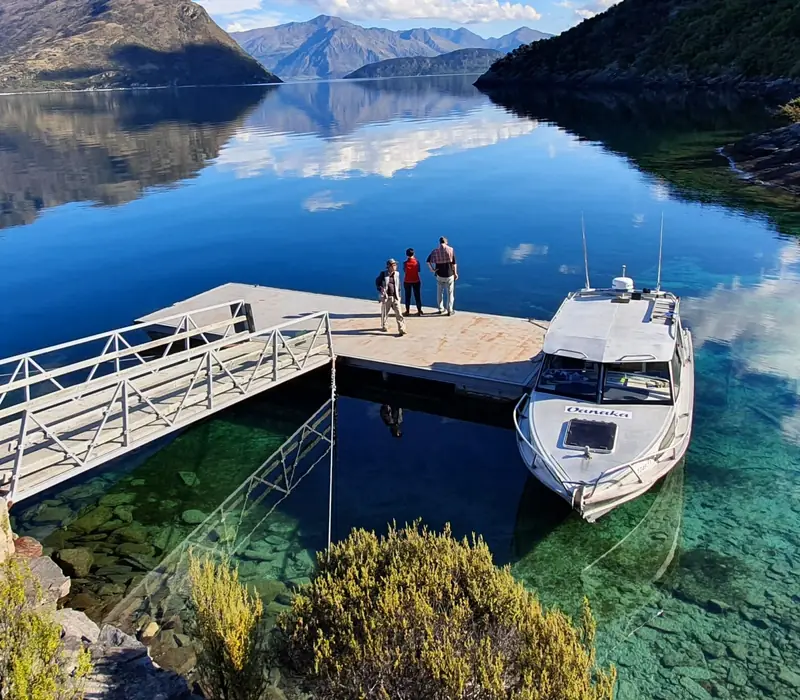 Day 8 of Mount Cook Lily: Wanaka