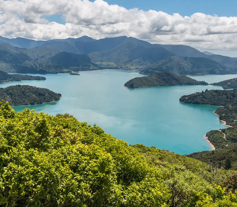 Day 10 of New Zealand Marvel 26/27: Cruising through Queen Charlotte Sound, up the Tory Channel and across Cook Strait is a jo