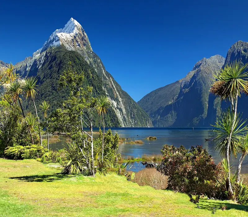 Day 4 of Kiwi South Island: Premium Milford Sound Small-Group Tour, Cruise & Picnic Lunch