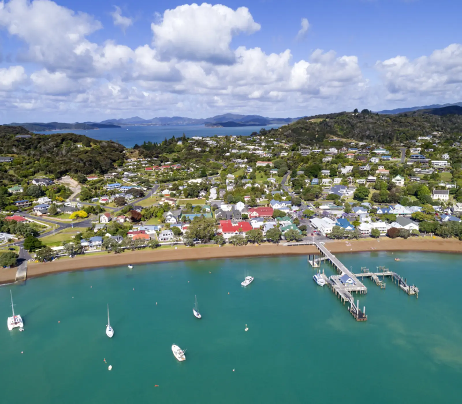 Day 2: Auckland to Bay of Islands, Koromiko