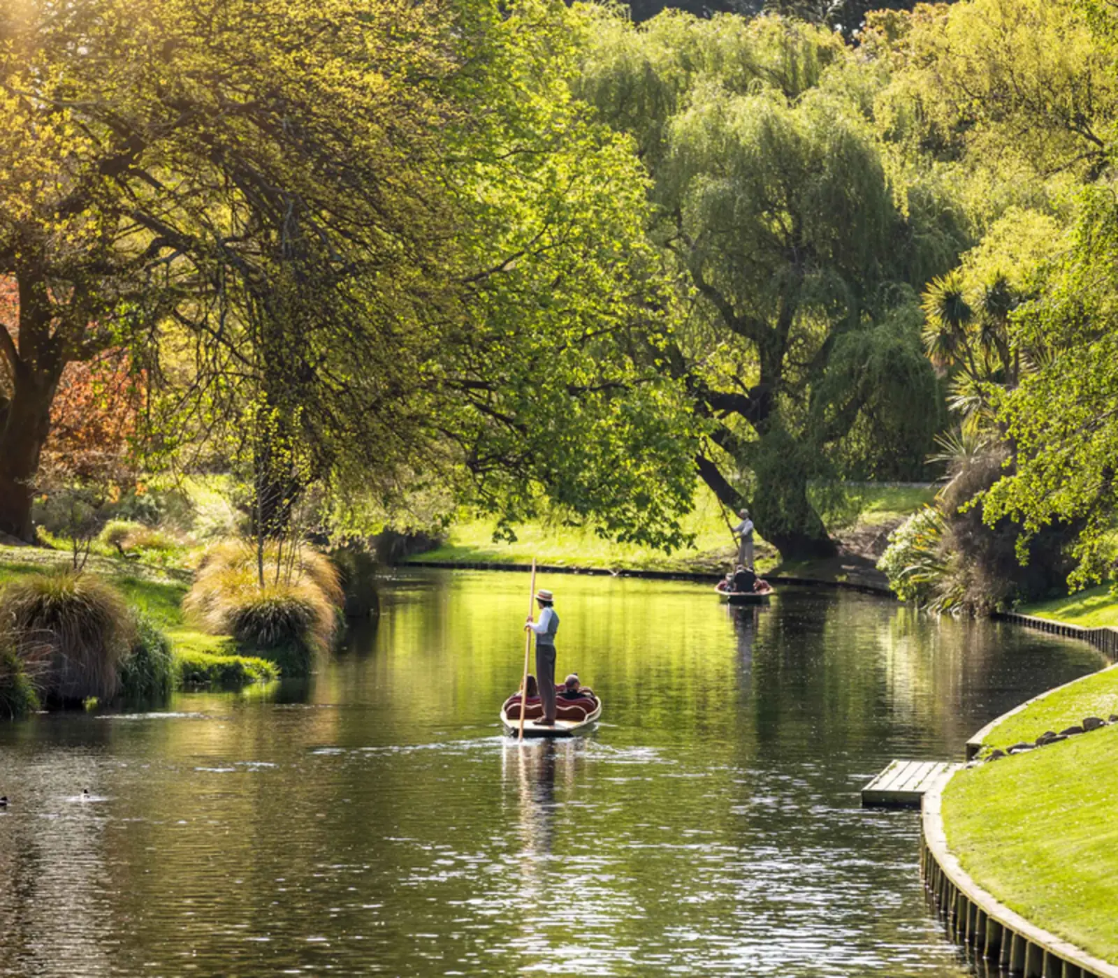 Day 1: Arrive into Christchurch, Matai