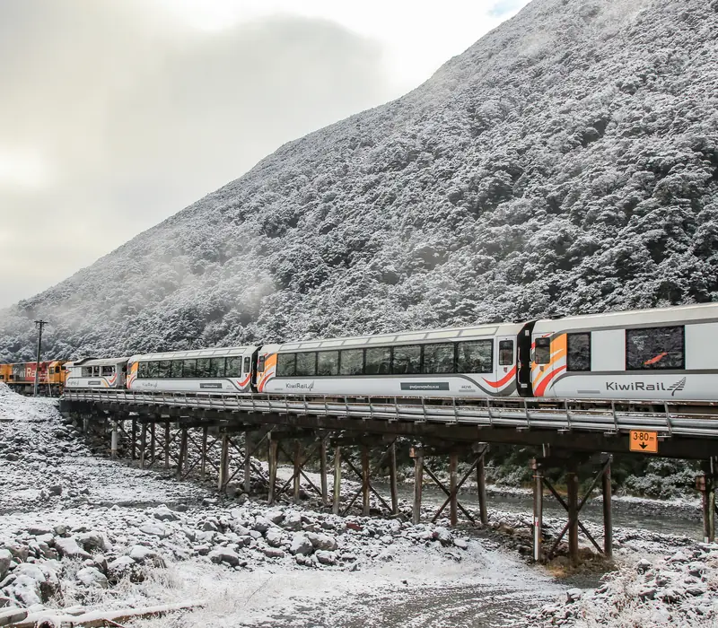 Day 2: Christchurch to Fox Glacier (photo 3), Matai
